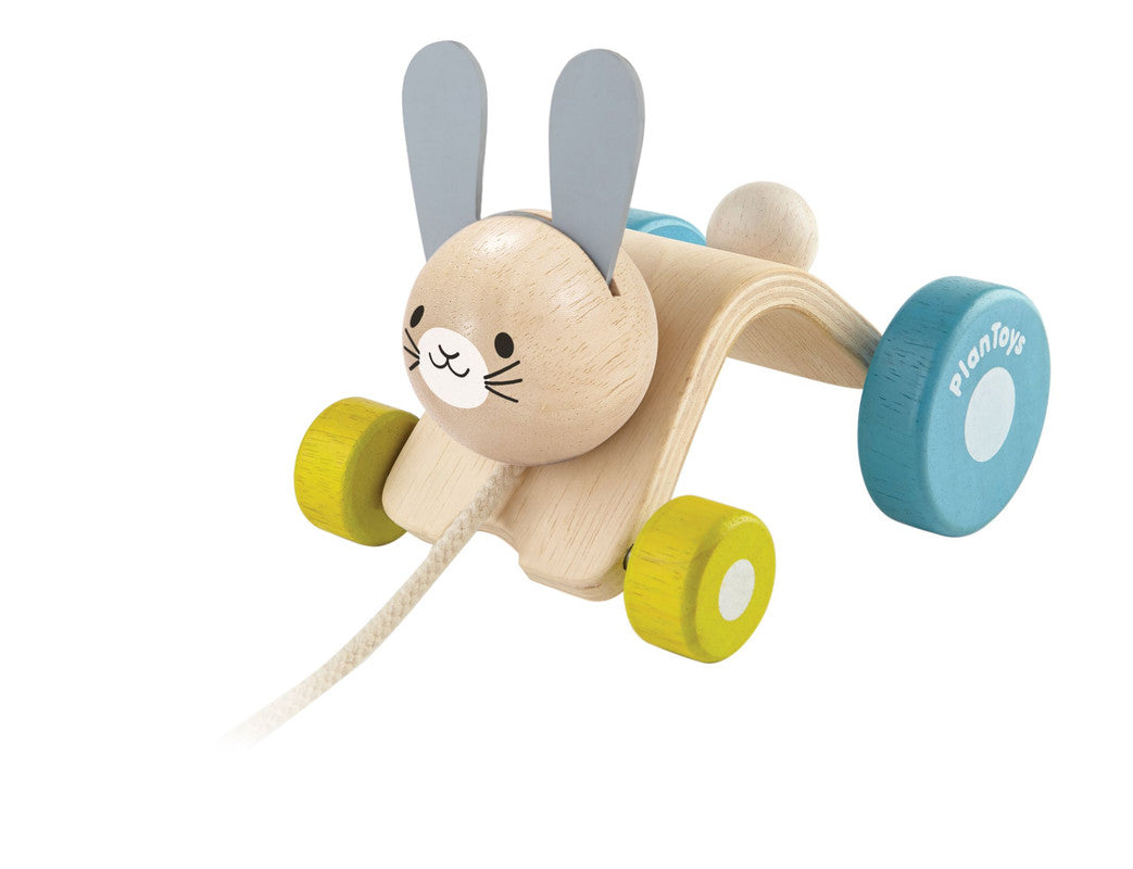 Hopping Rabbit