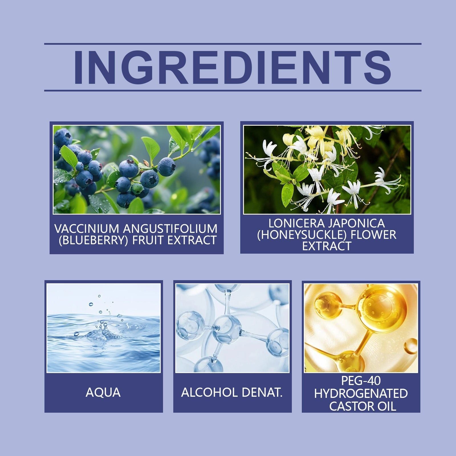 Blueberry Charm Roll-On Perfume, Natural Fresh Fragrance, Long-Lasting, Niche Scent ,10ml/box