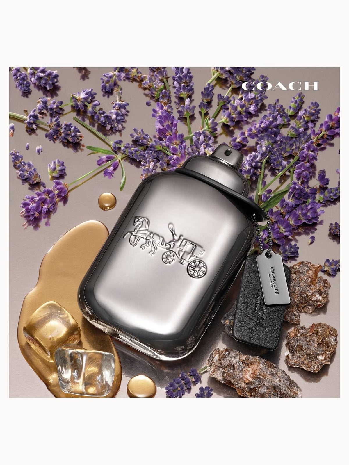 Pure Platinum Parfum