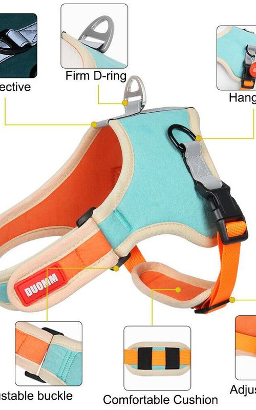 Dog Harness Leash Set Outdoor Reflective Breathable Adjustable Pet Vest