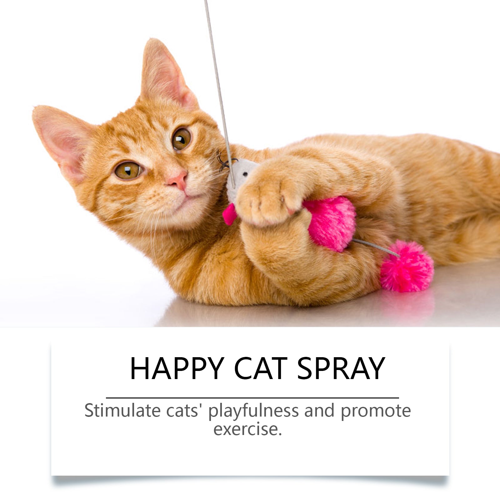 Catnip Spray, Long Lasting Fragrance, Energize and Amuse Your Cat, Safe and Fun ,1set