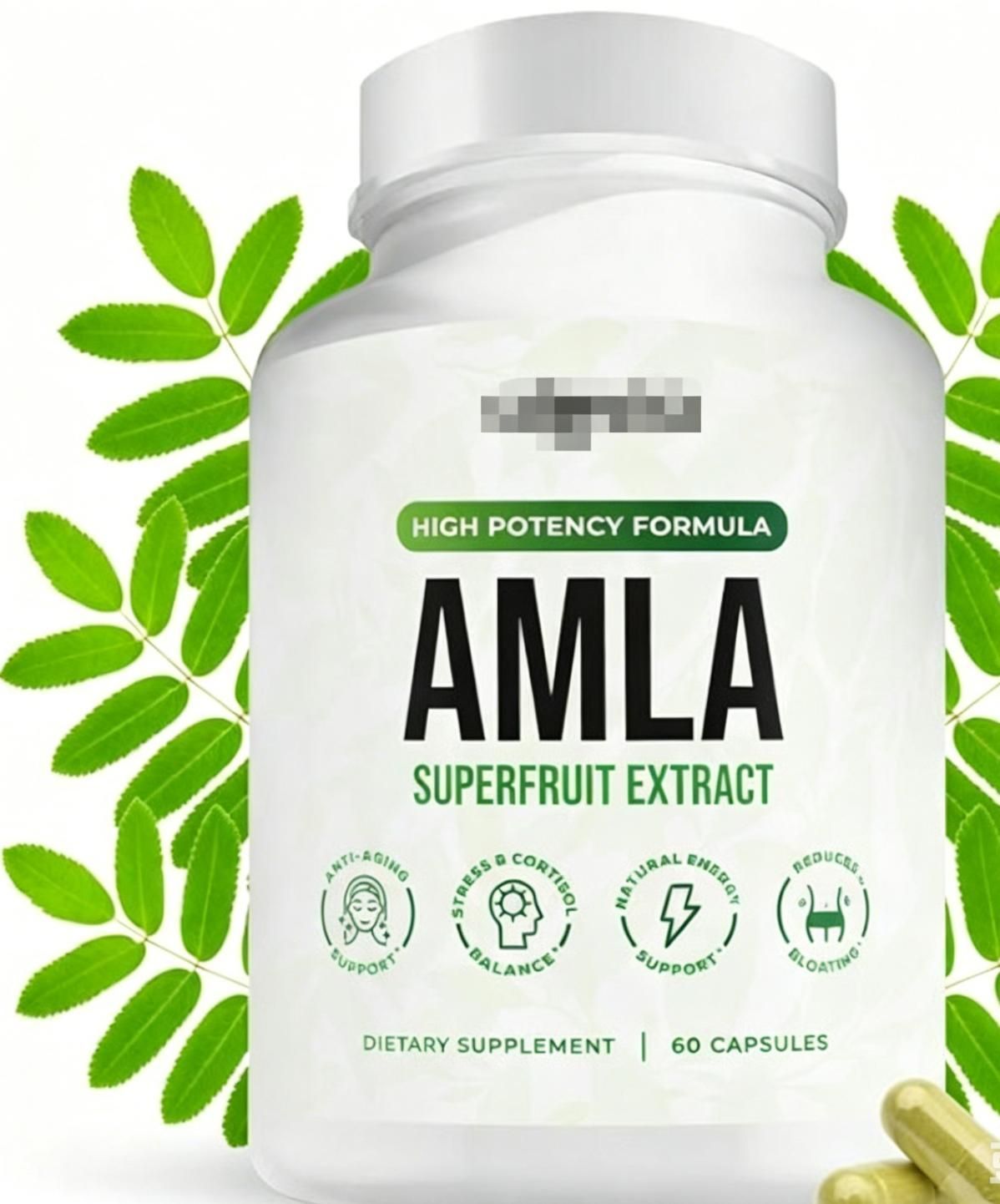 Amla Superfruit Extract Daily Antioxidant Dietary Supplement Capsules, 60 Count