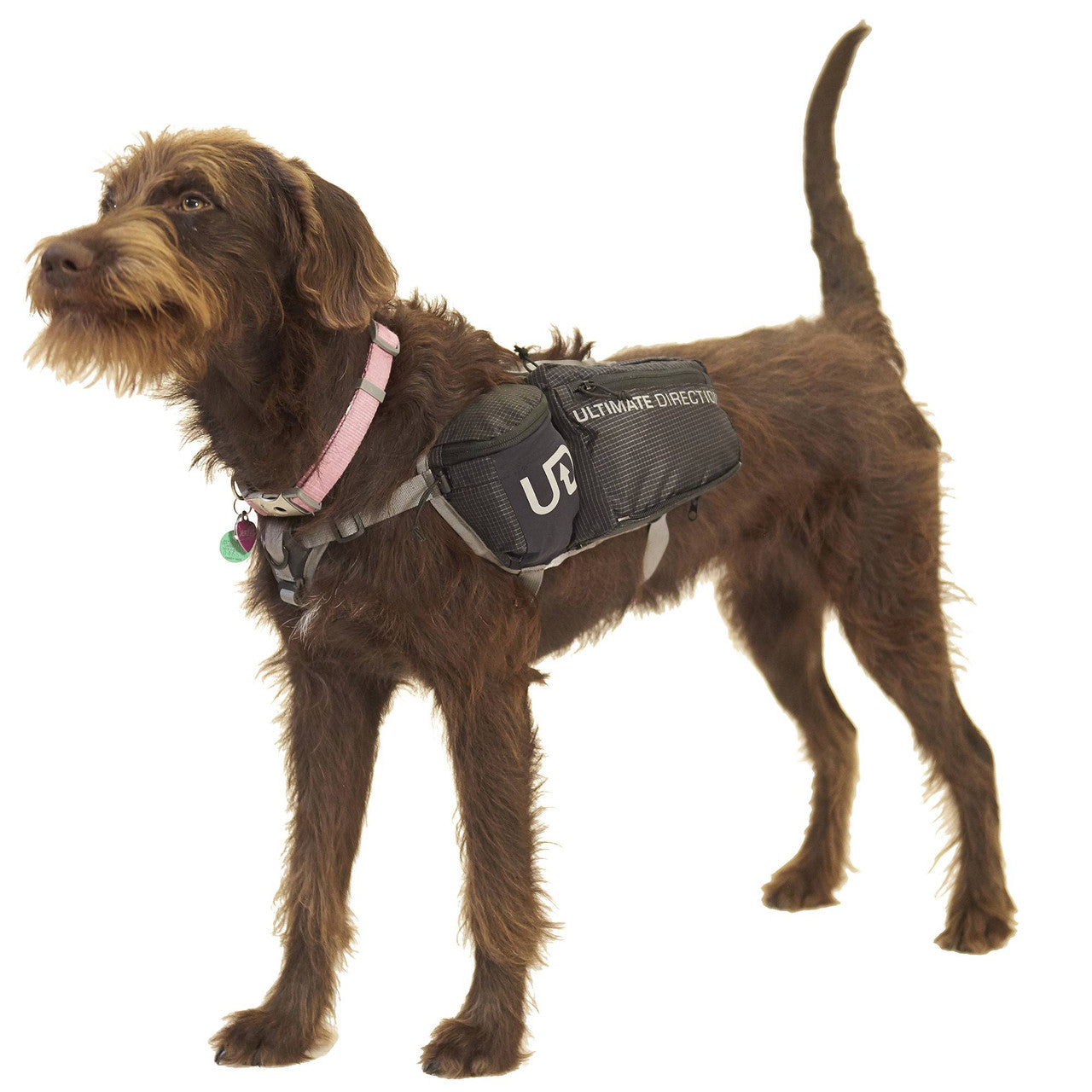 Ultimate Direction Dog Vest, Size Small, Black