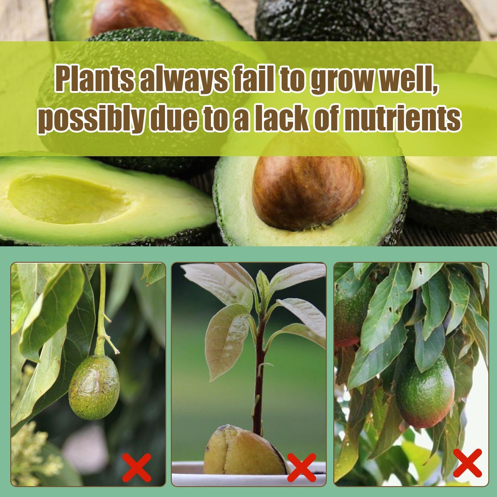 Boost Plant Nutrition Spray for Healthy Avocado Trees, Pest Resistance, Fast Growth ,100ml