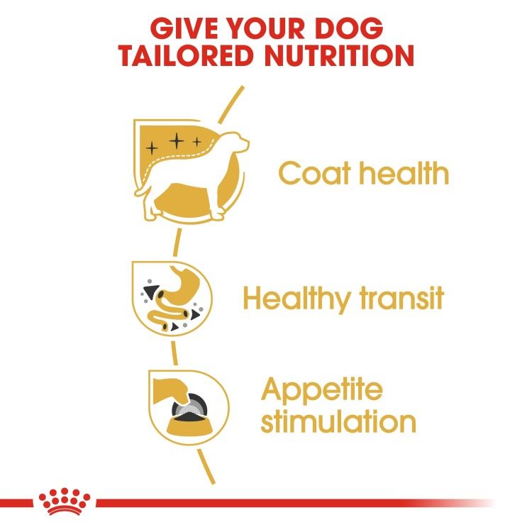 Breed Health Nutrition Chihuahua Adult (WET FOOD - Pouches) 12 x 85g