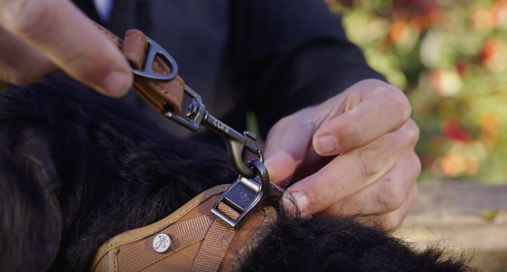 حزام قابل للتعديل من الجلد النباتي من Curli للكلاب - مقاس صغير (أسود)