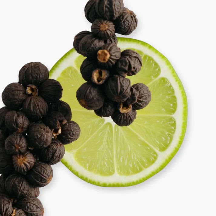 Castley Eau de Parfum 125ml