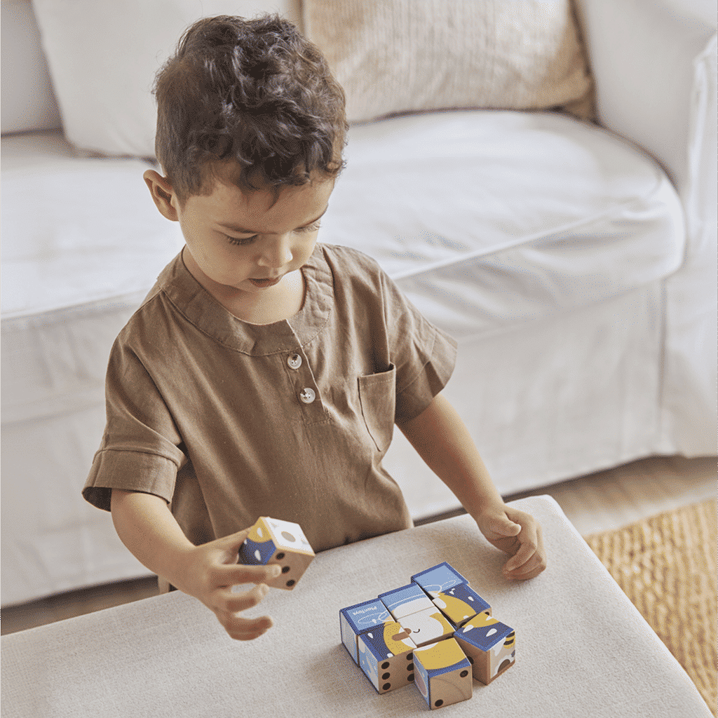 PlanToys Animal Puzzle Cubes