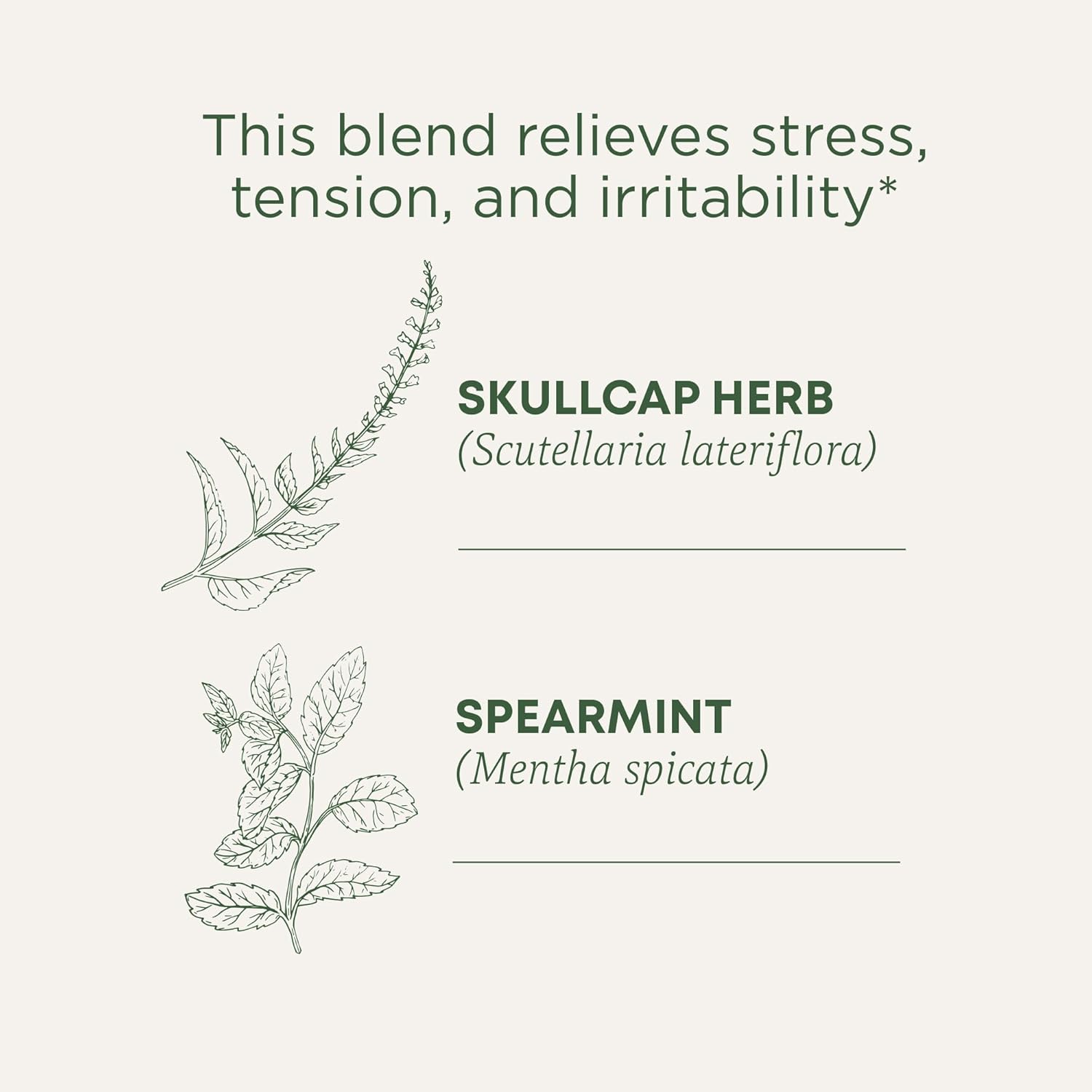 Traditional Medicinals Tea Cinnamon Stress Ease Organic, 16 Ct