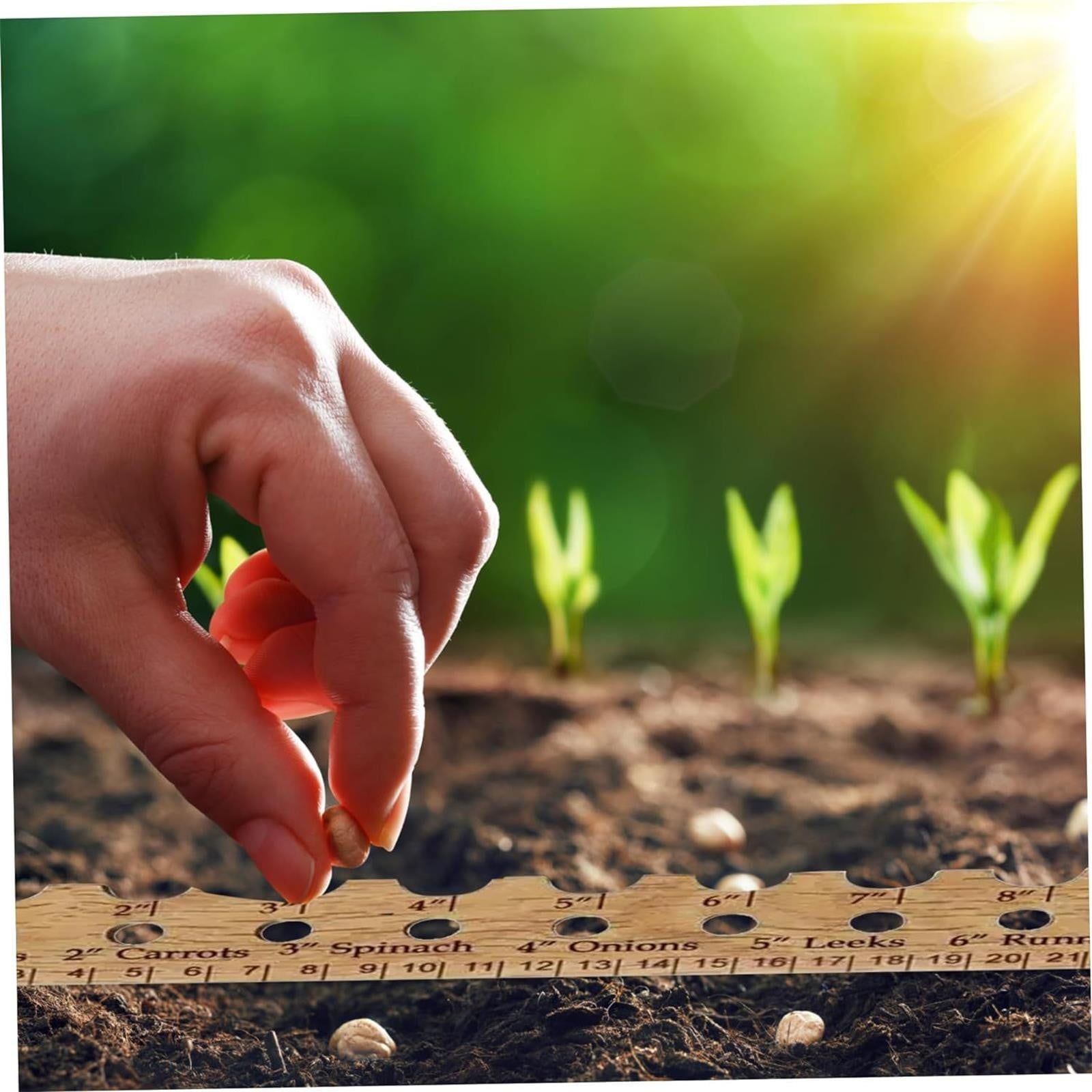 Seed Spacer Seed Ruler Seed Spacing Ruler With Inch And Centimetre Scale