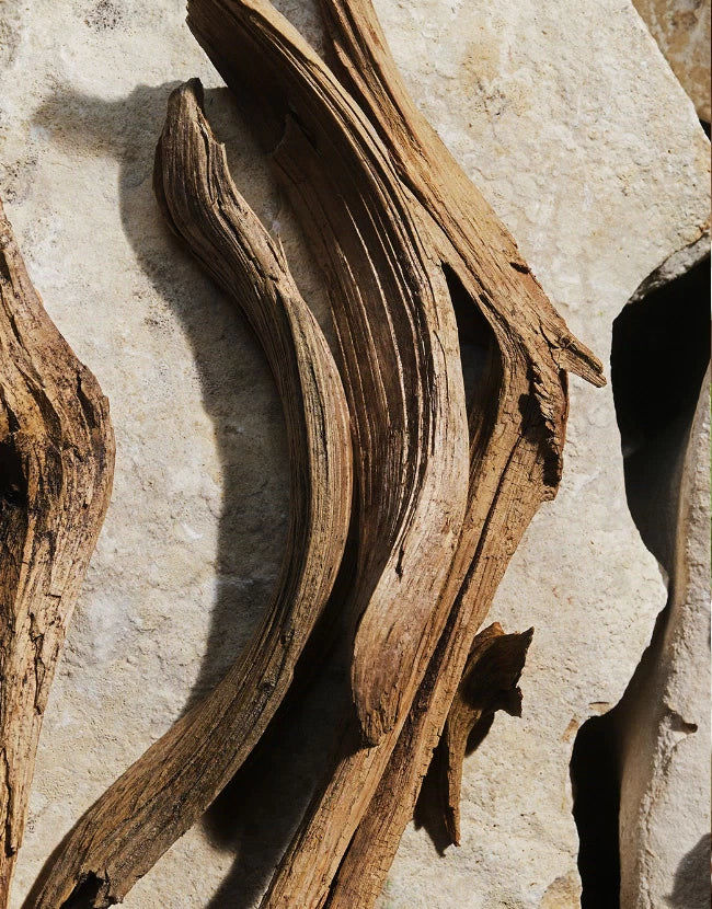 Light Blue Eau de Toilette