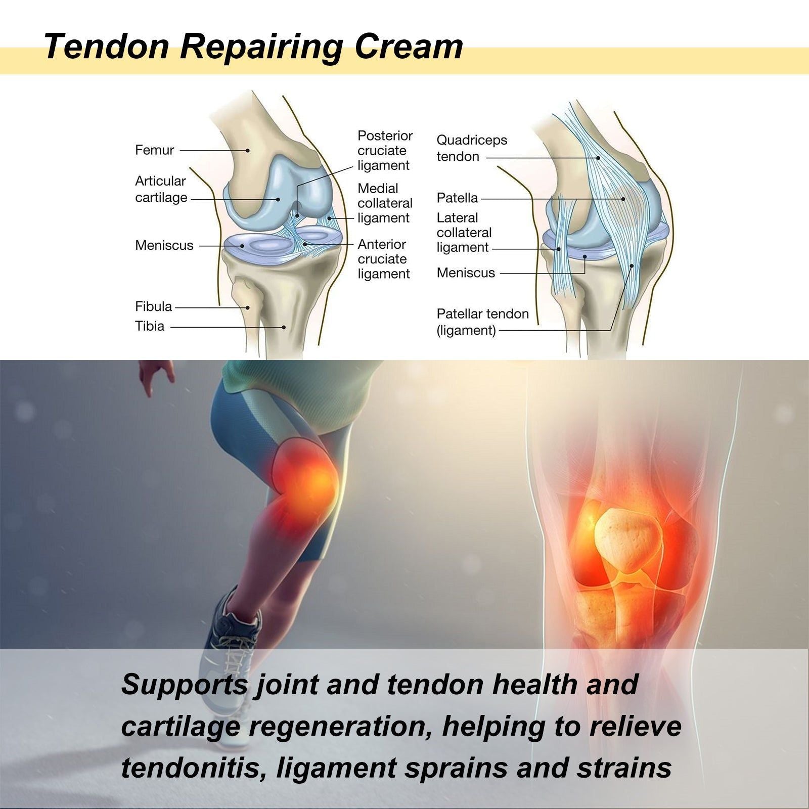 Tendon Repair Cream for Pain Relief, Joint Flexibility, Tendon & Ligament Support ,20g