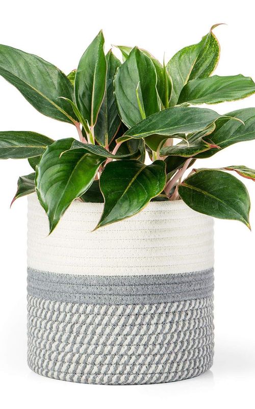 Mini Woven Jute Cotton Rope Plant Storage Basket for Home