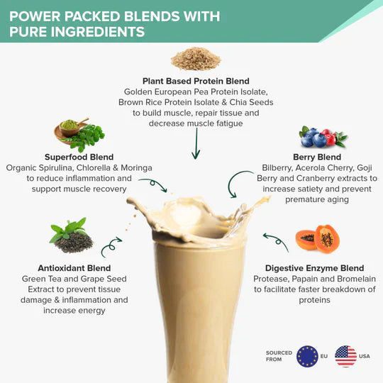 Wellbeing Nutritions Superfood Plant Protein French Vanilla Caramel