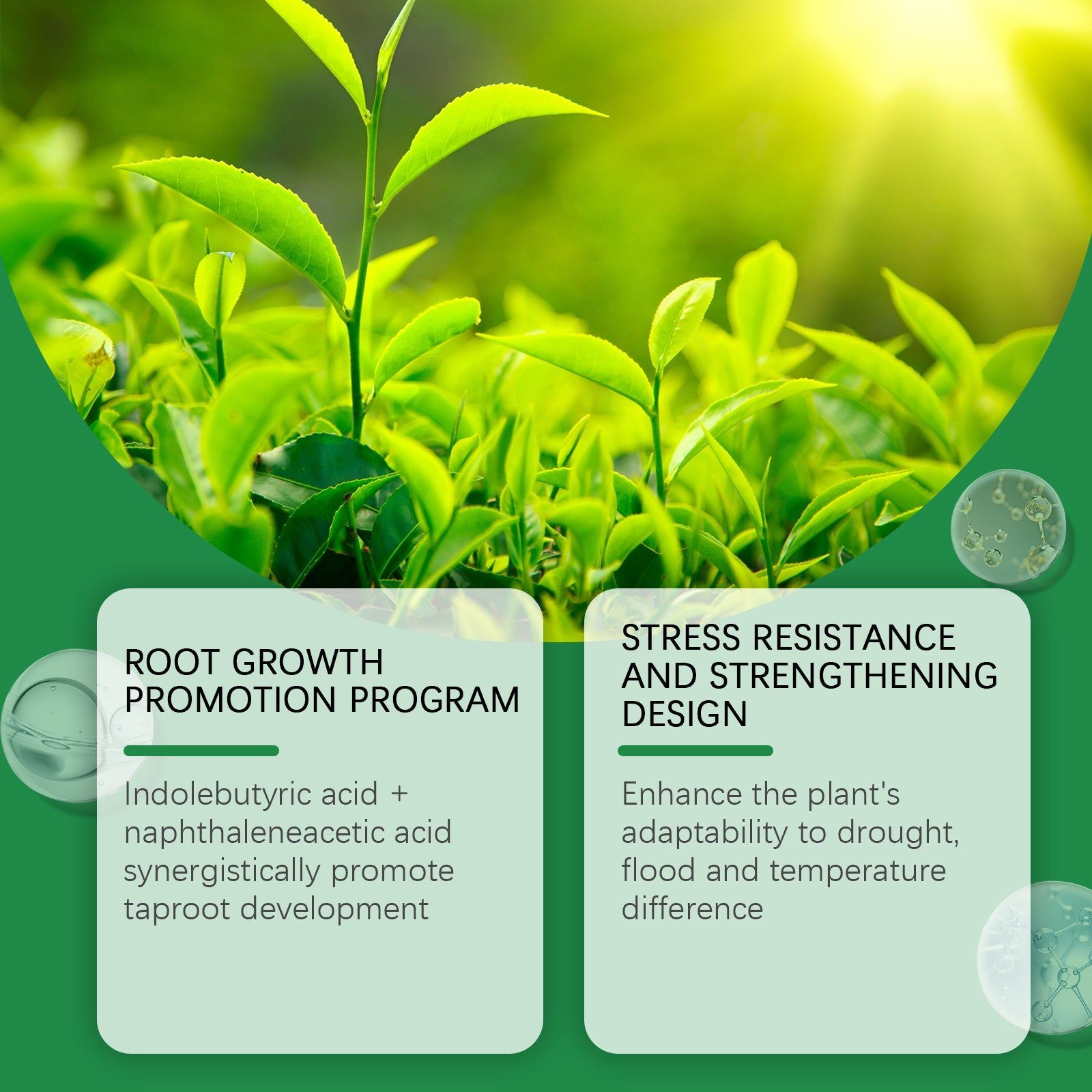Boost Plant Roots Fast, Rooting Powder for Healthy Growth, Garden & Indoor ,1 set