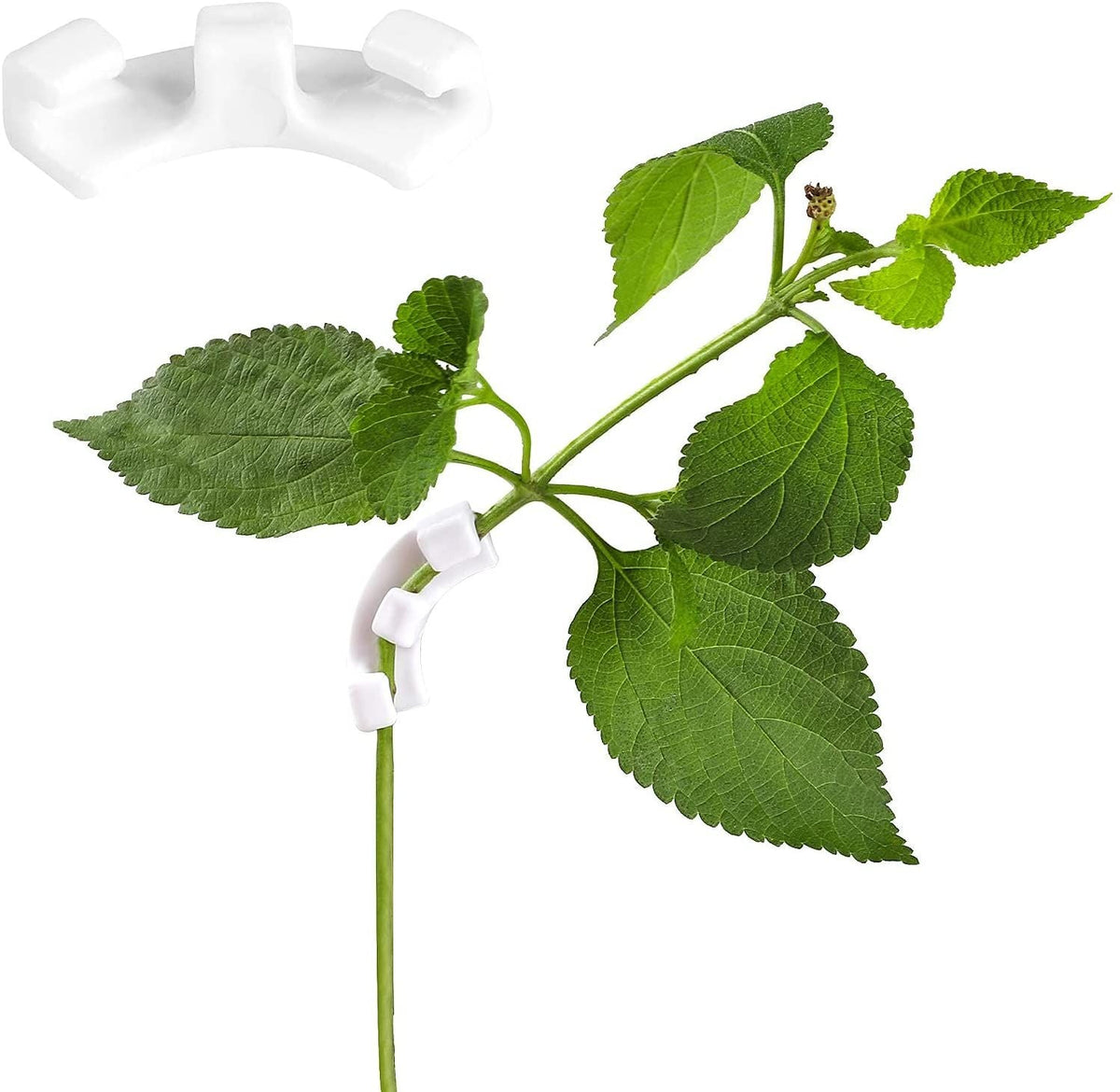 30 Pack 90 Degree Plant Bender LST Clips Plant Holder Gardening Tool For Low Stress Training