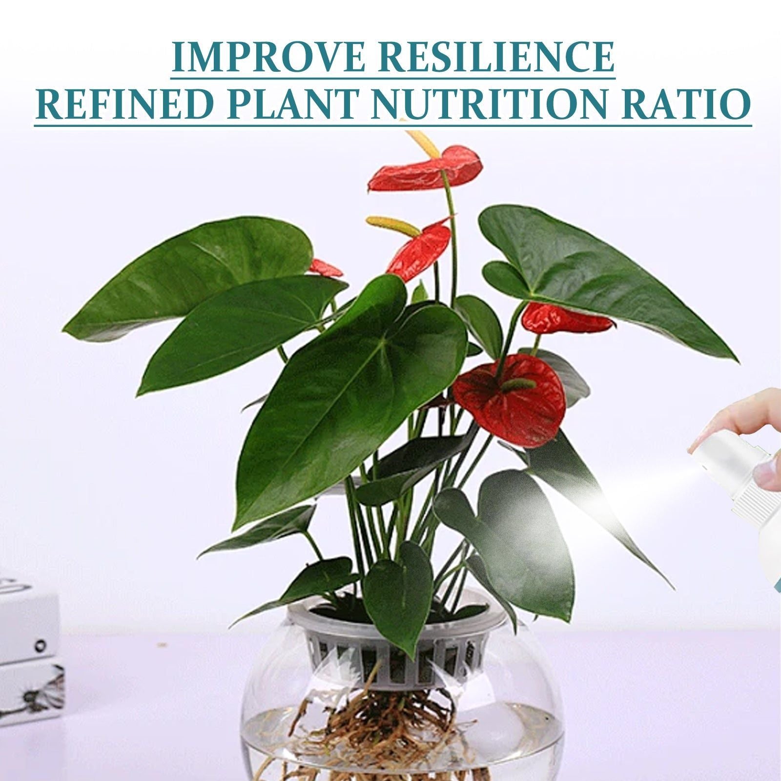 Boost Plant Growth with Hydroponic Nutrient Solution, Promotes Healthy Green Leaves ,100ml