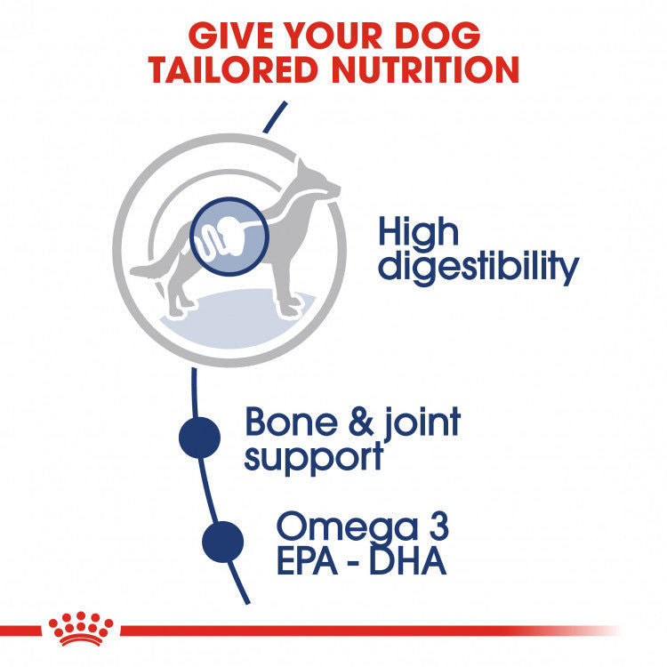 Royal Canin Size Health Nutrition Maxi Adult - 10 Wet Food Pouches