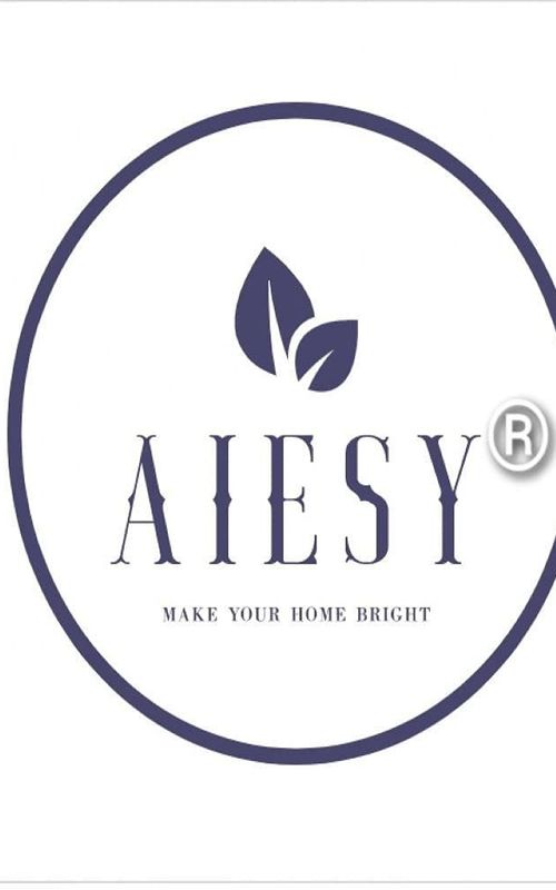 AIESY® Micro-Poly Shaggy Soft Touch Anti-Skid Door Mat for Home