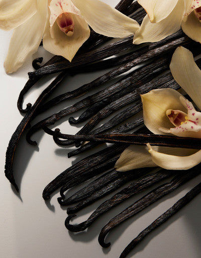 The One Eau de Parfum