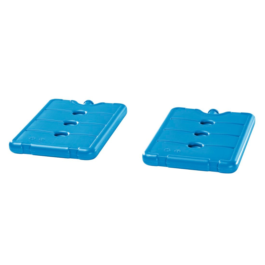 XAVAX 111496 BBQ Transport Box with cold packs, 43 x 27.5 x 11 cm