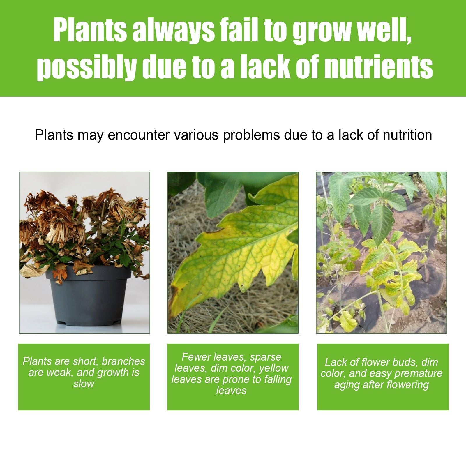 Boost Plant Nutrient Solution, Promote Growth, Vibrant Leaves, Flowers, Lawn, Easy to Use ,100ml