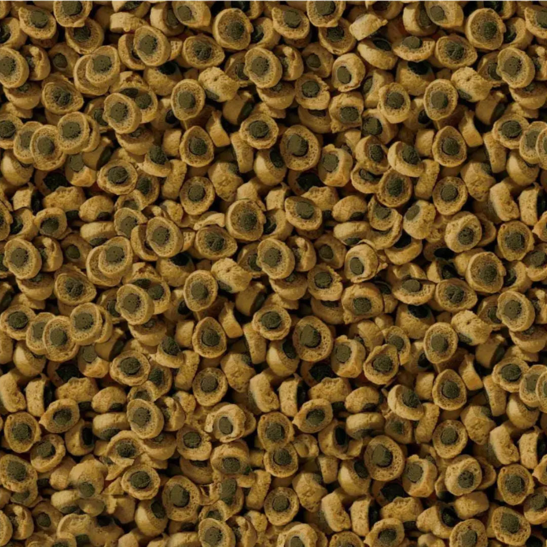 Sera Reptile Professional Food for Herbivorous Reptiles