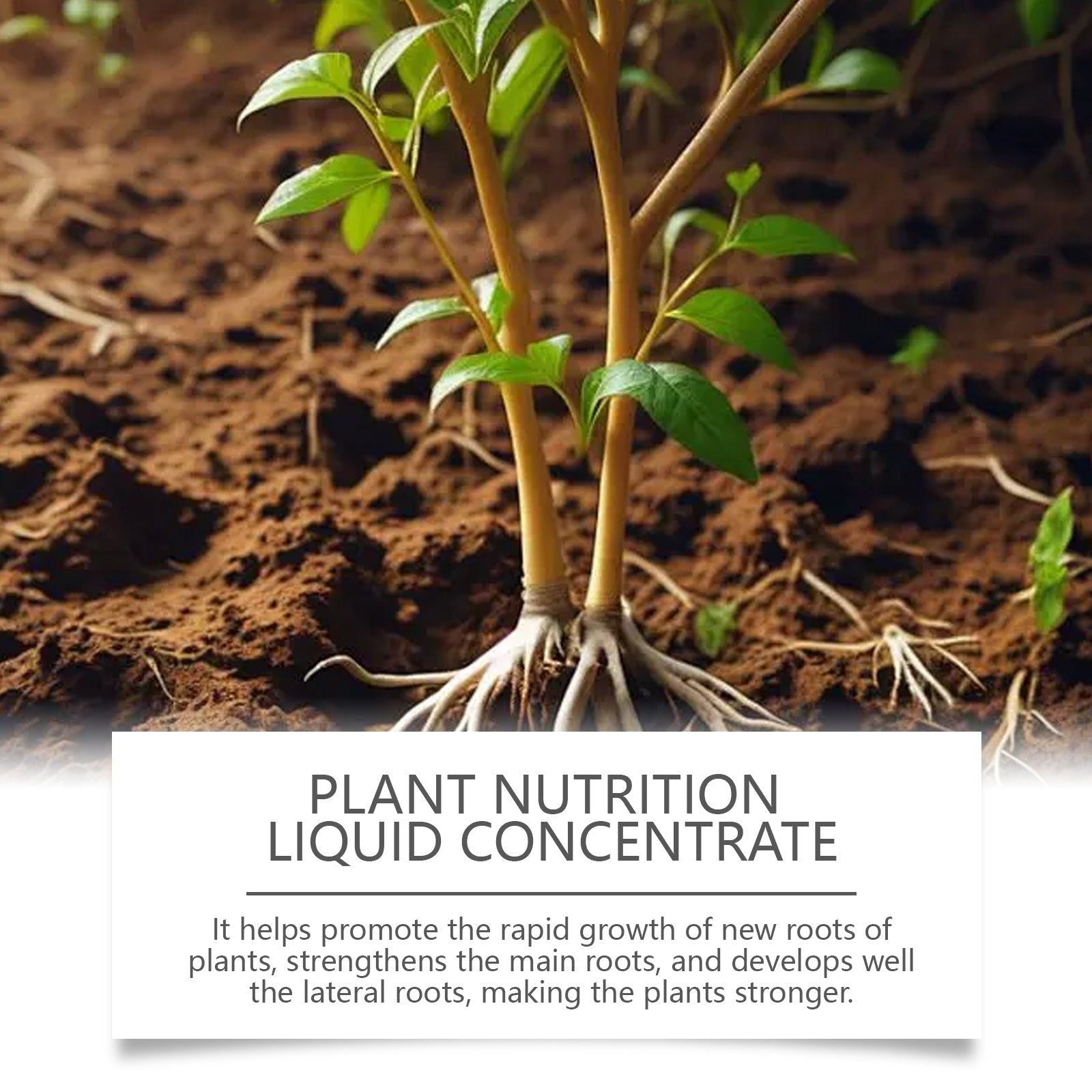 Boost Plant Growth with Top-Rated Plant Nutrient Solution for Fruits, Vegetables, Flowers ,120ml