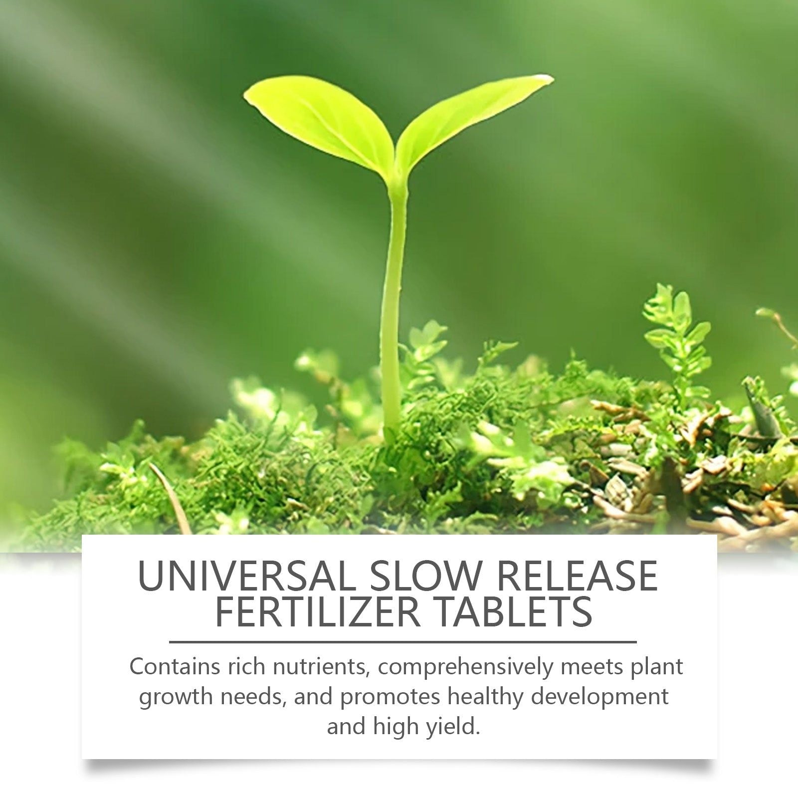 Boost Plant Growth with Nutrient Fertilizer, Organic Slow-Release Tablet for Healthy, High-Yield Gardens ,22 pieces