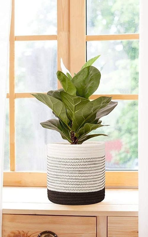 Mini Woven Jute Cotton Rope Plant Storage Basket for Home