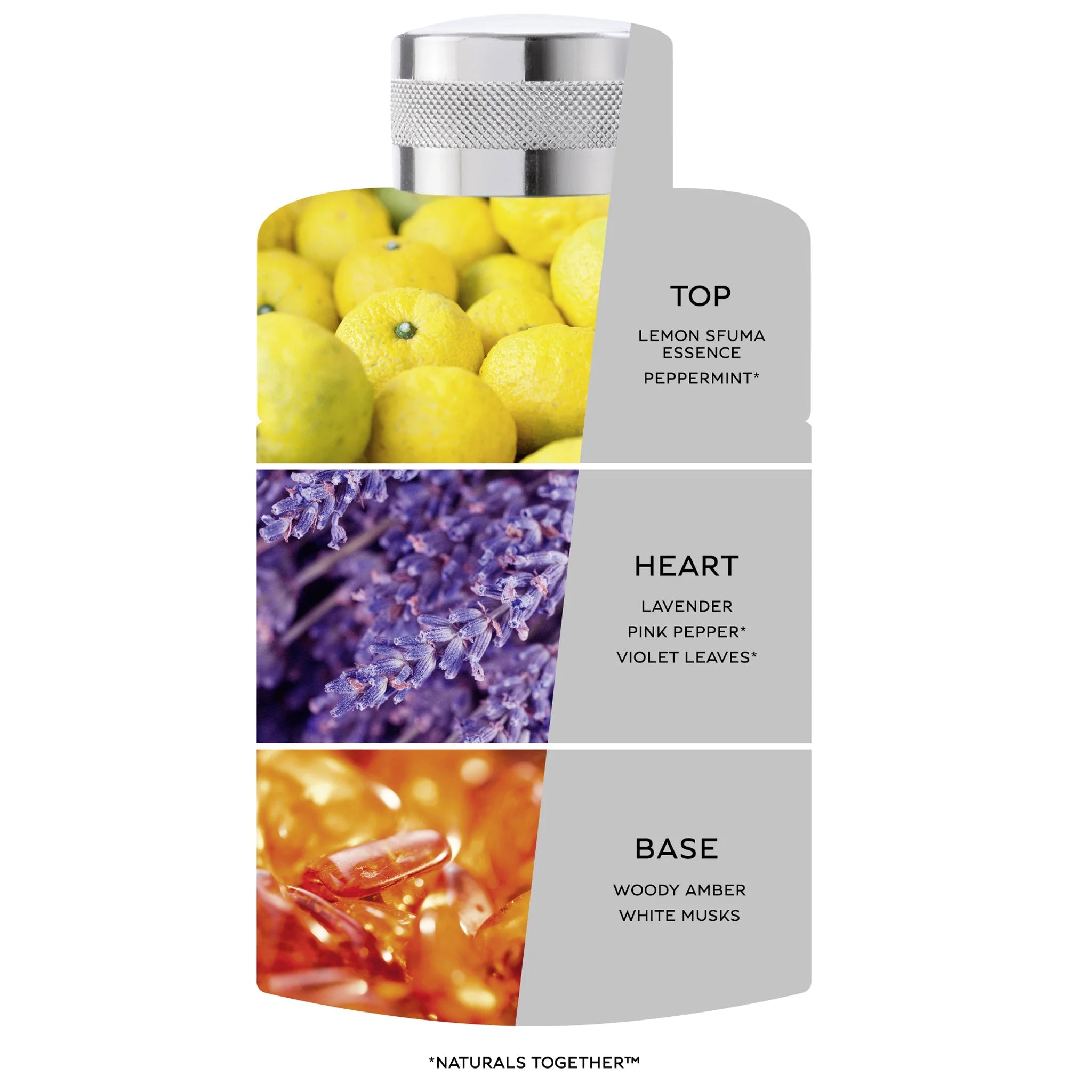 عطر سيلفرليك 100 مل