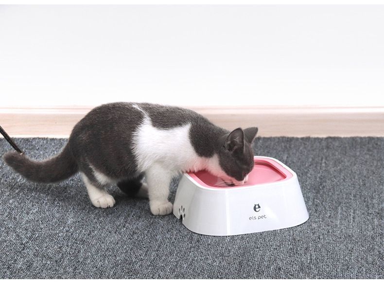 Pet Drinking Water Bowl Floating Feeder Aniti-splash