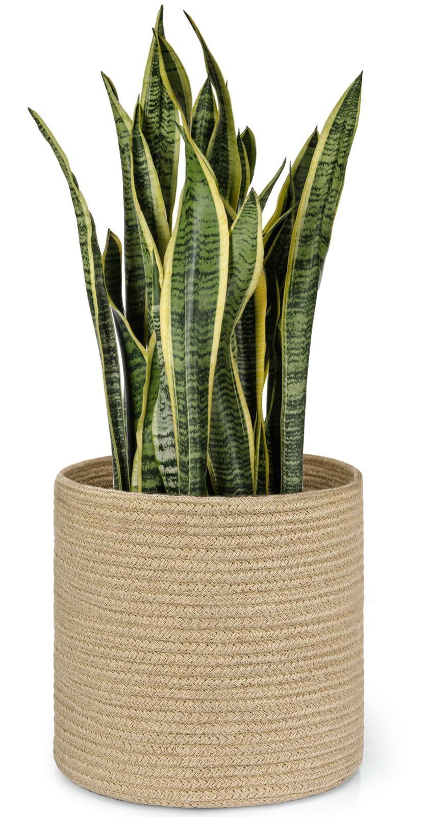Dahey Small Cotton Rope Woven Coiled Basket for Home
