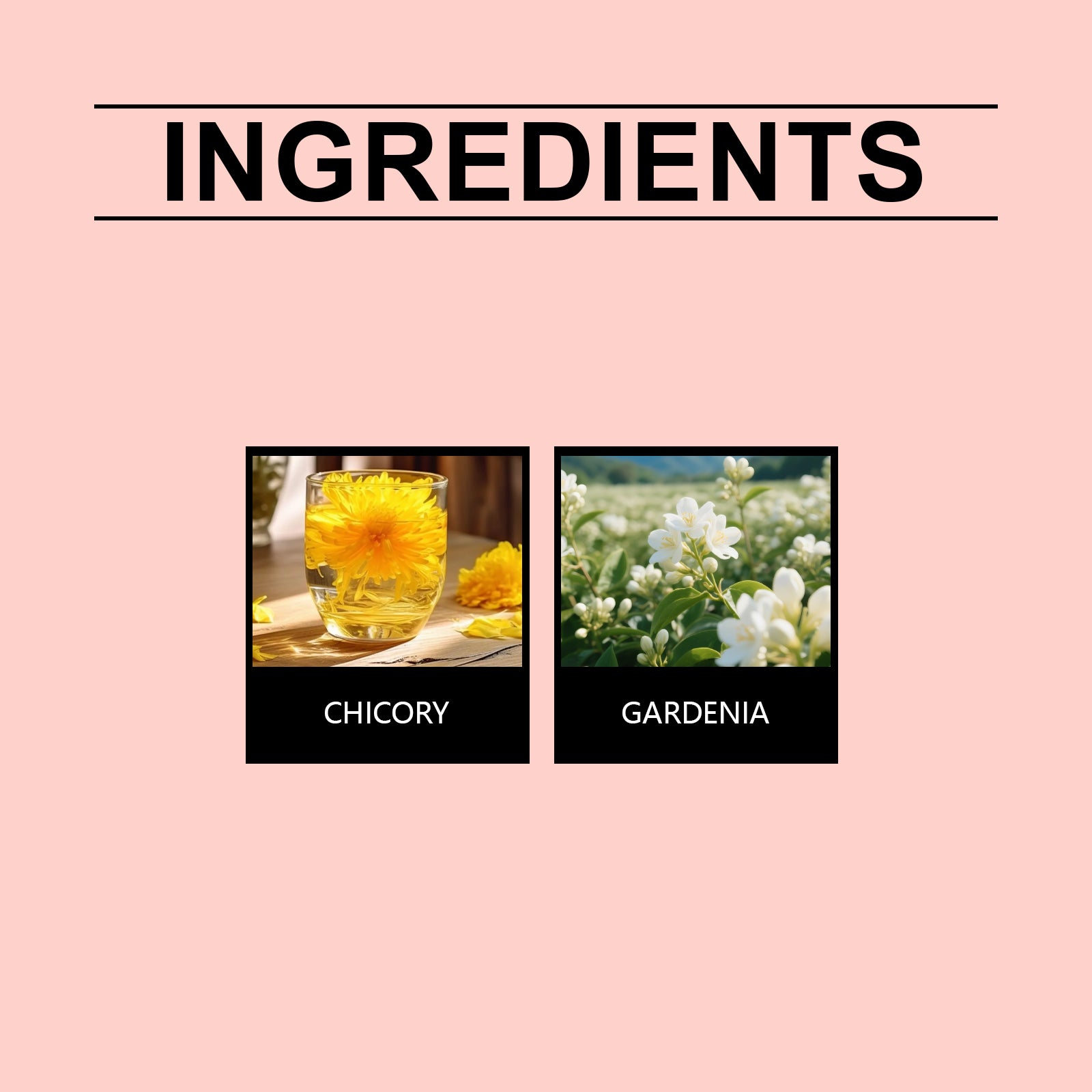 Chicory Gardenia Tea for Body Care, Immune Boost, Digestive Support, Hot Drink ,15pieces