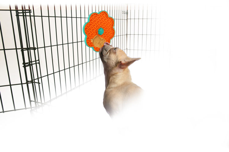 All For Paws Calming Pals - Lick-A-Fish