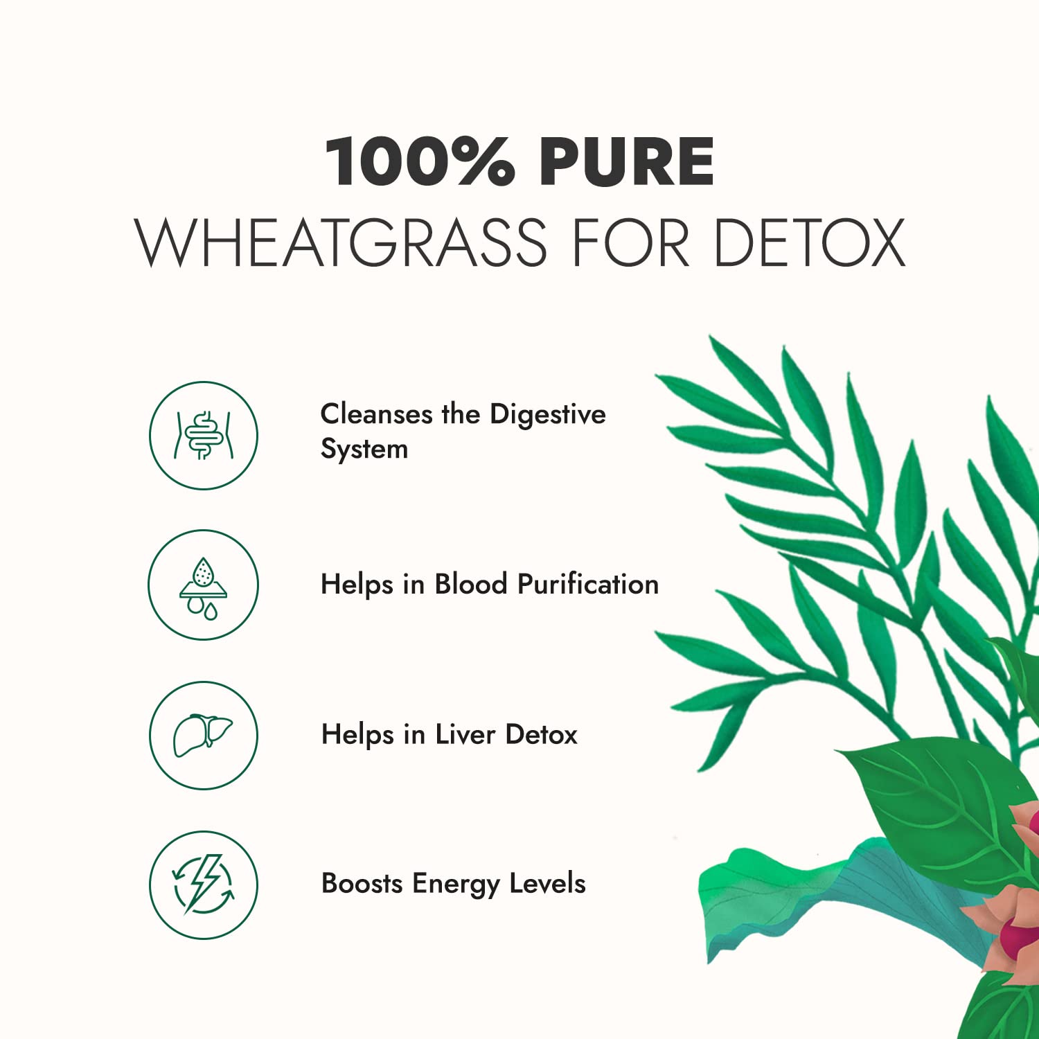 Kapiva Wheatgrass Juice - Herbal Supplement to Help Detoxify the Liver, Cleanse the Digestive System, and Purify Blood, 1 L