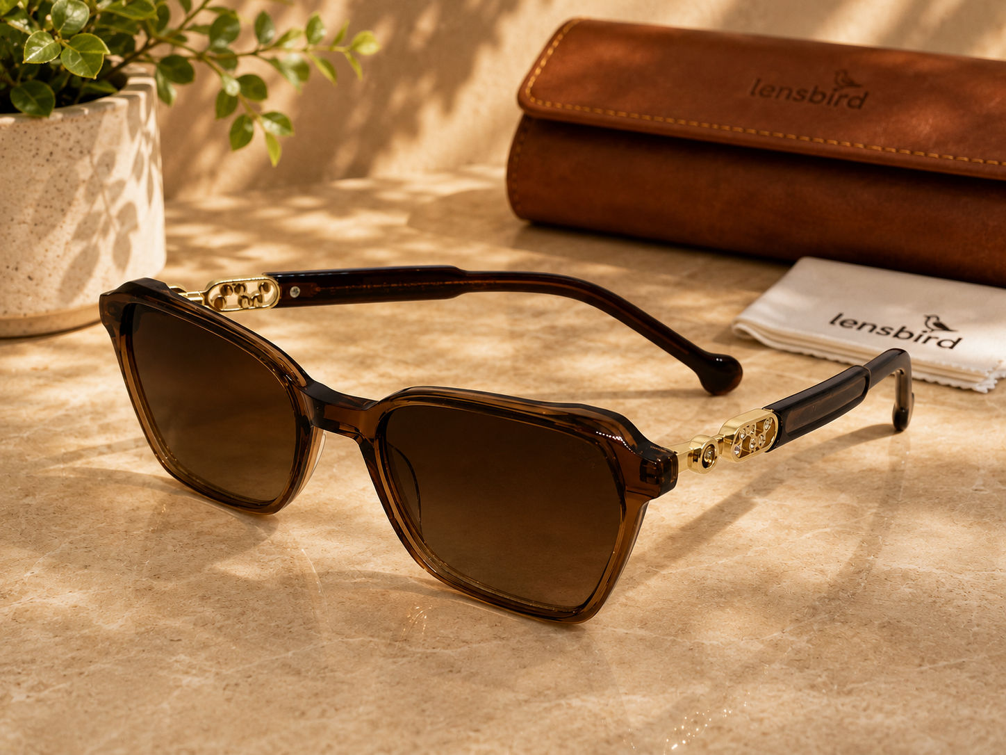 Lensbird Female Sunglass, 17338C3