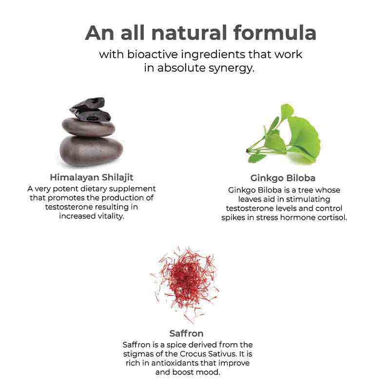 حزمة التحمل والانتعاش