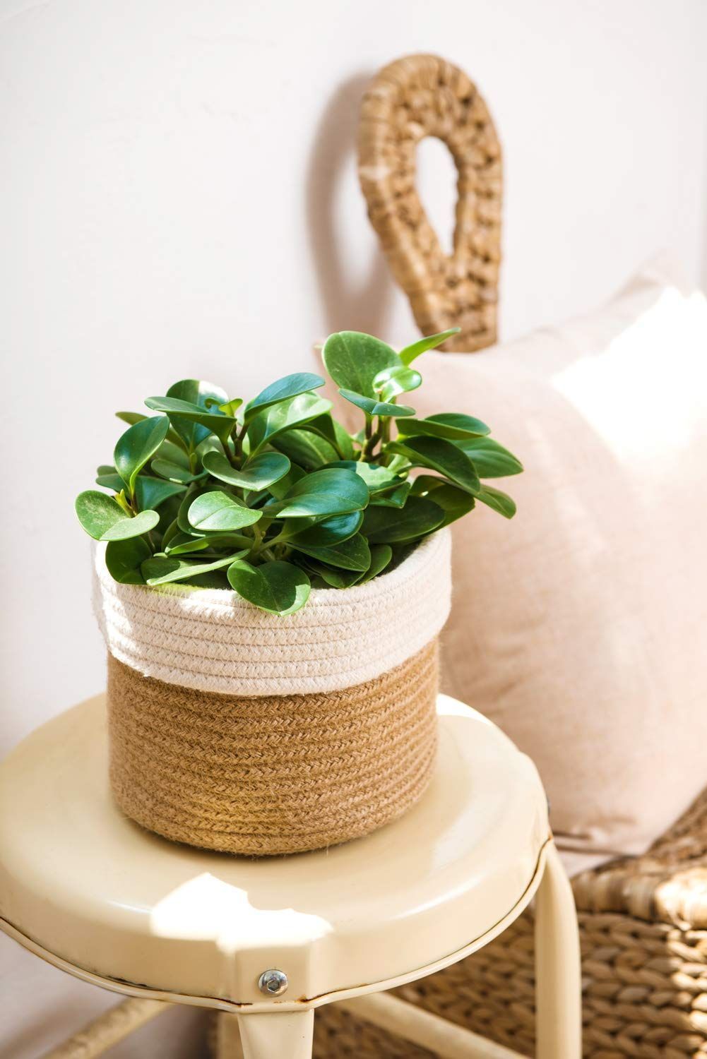 Dahey Small Cotton Rope Woven Coiled Basket for Home