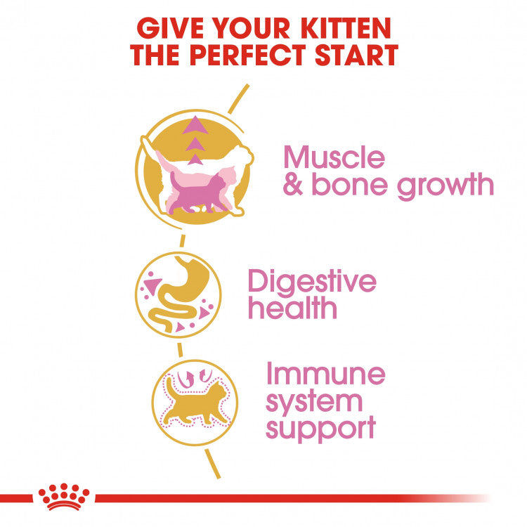 Royal Canin Feline Breed Nutrition (British Shorthair Kitten) - 2kg