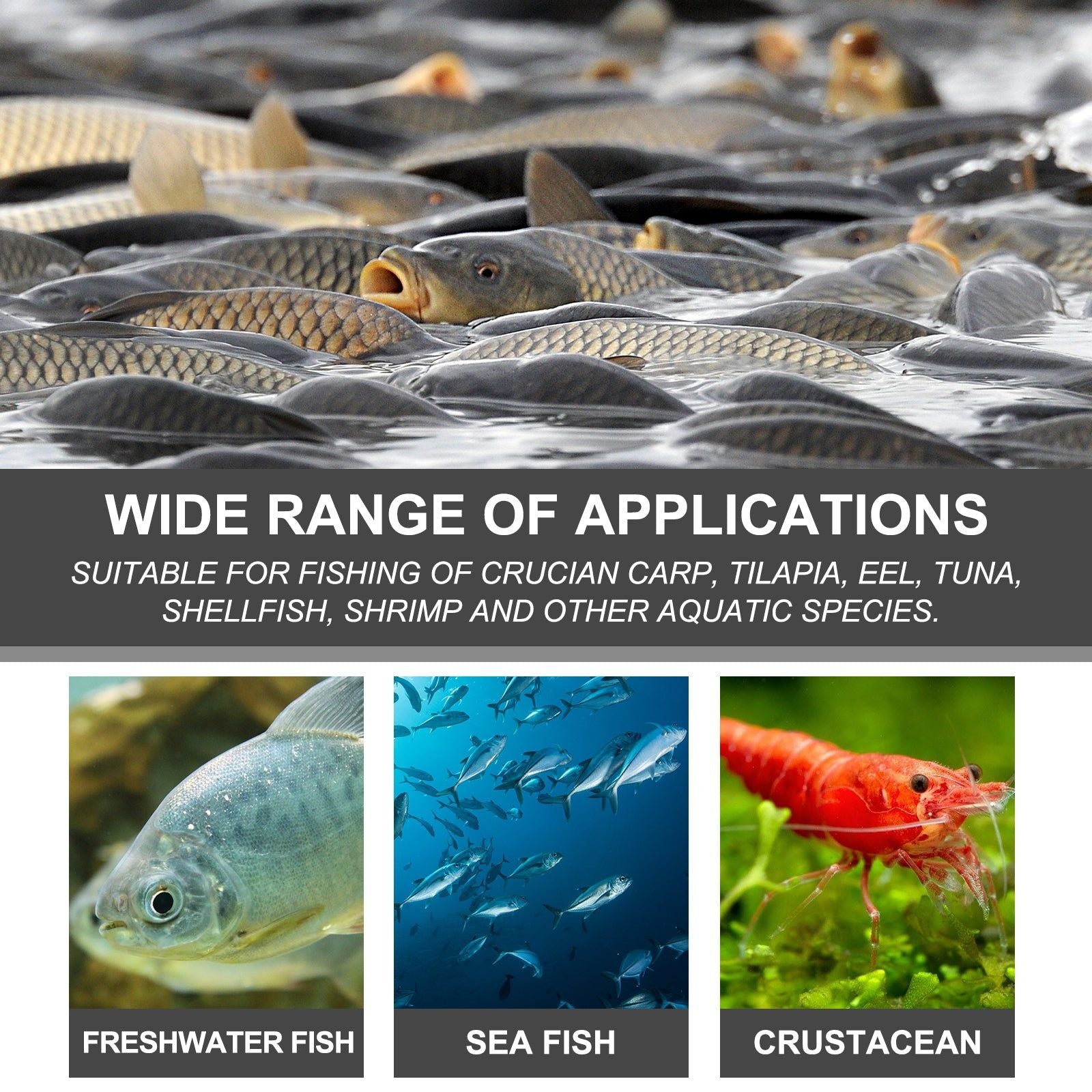 Bait Attractant, Fish Feeding Booster, Long-Lasting Fish Lure, Portable Fishing Bait ,30g