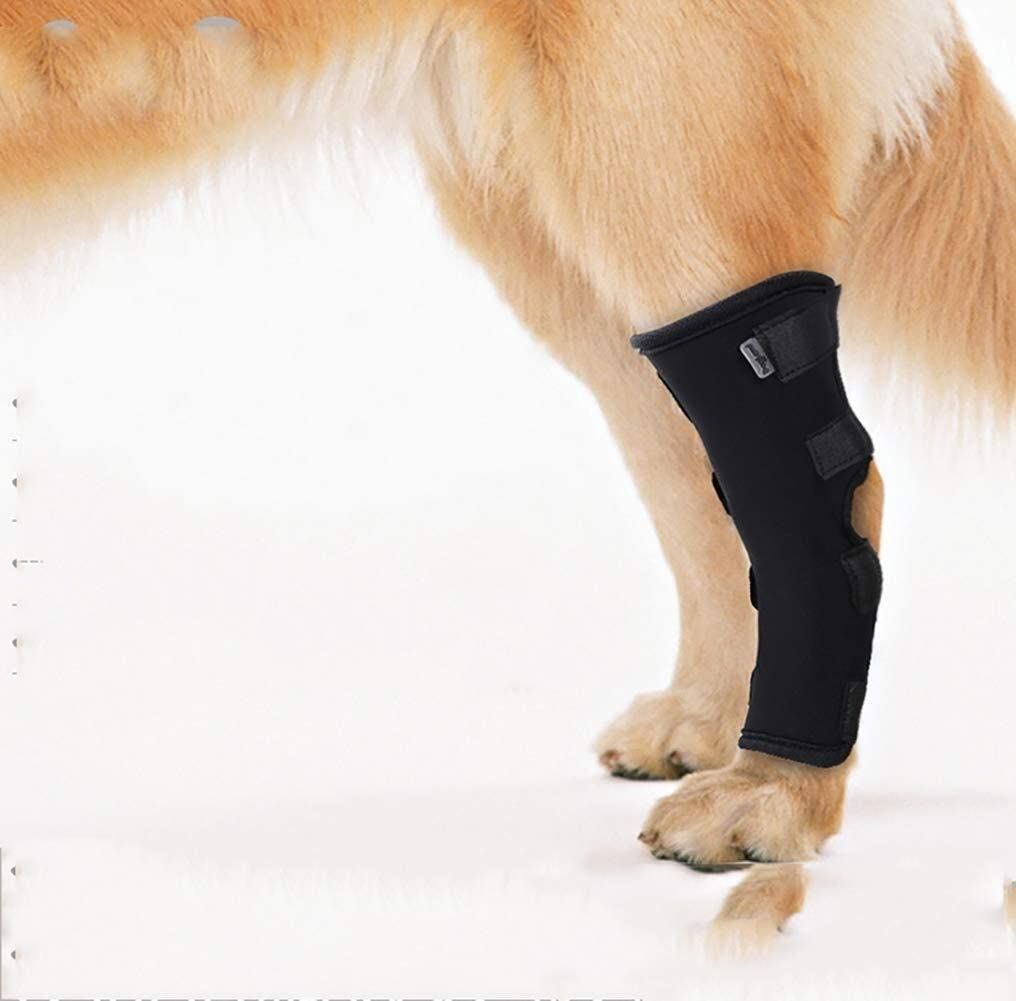 Dog Leg Brace Pet Knee Pads For Injury And Sprain Protection Wounds