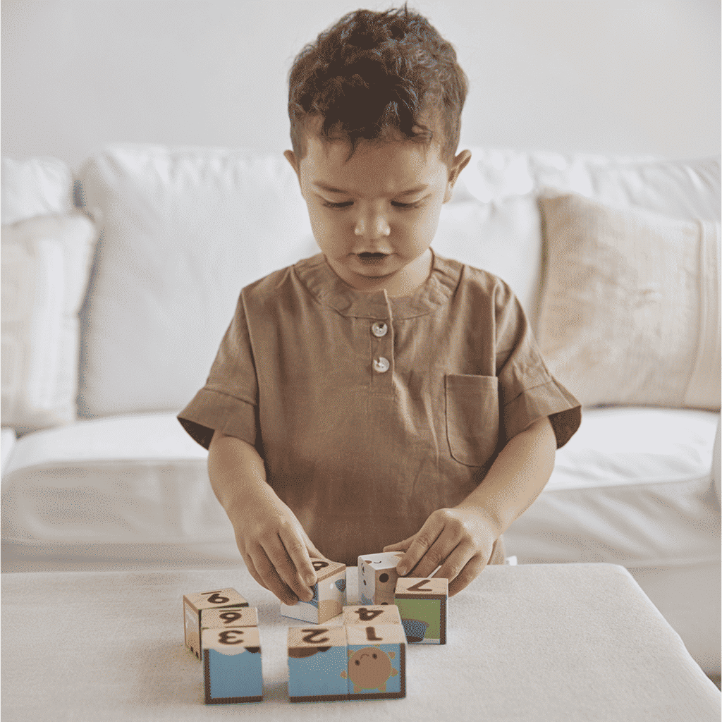 PlanToys Animal Puzzle Cubes