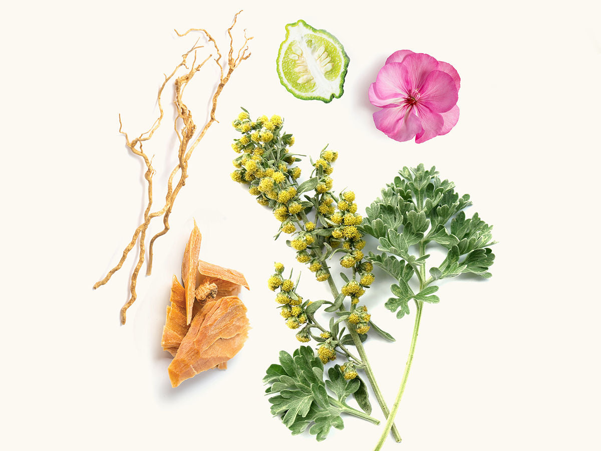 Baniyas Extrait de Parfum 50ml