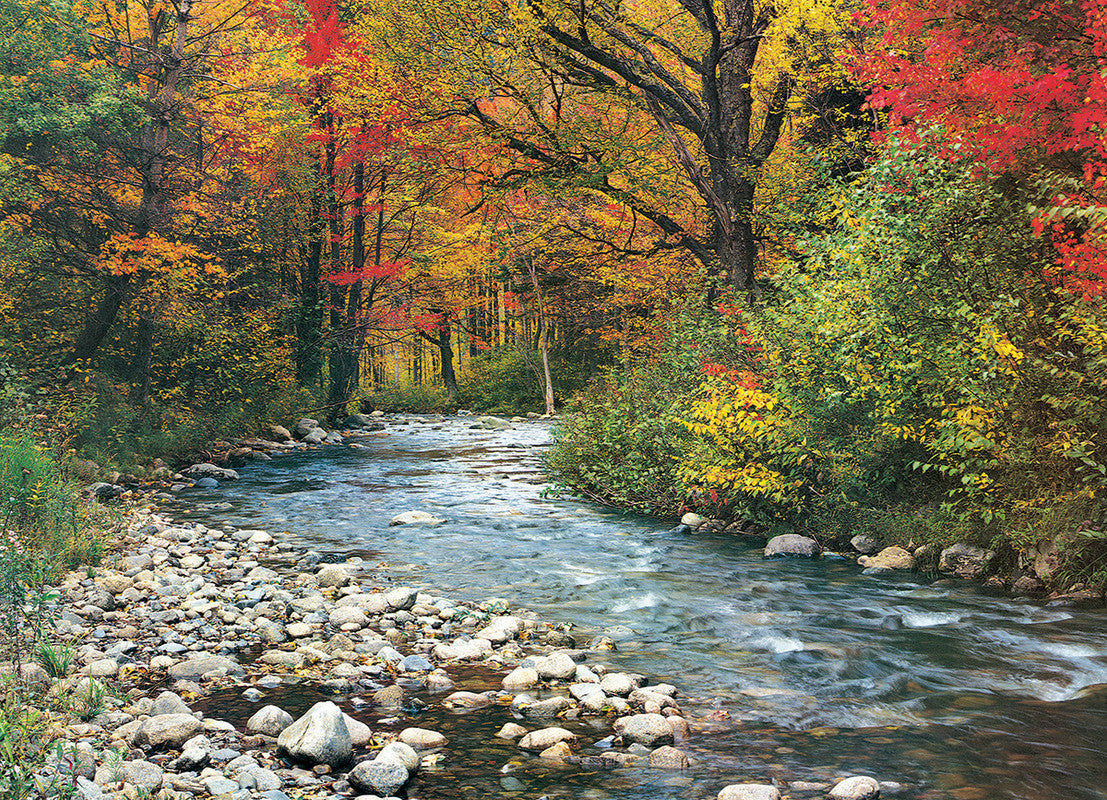 Forest Stream - 1000 Pcs Puzzle