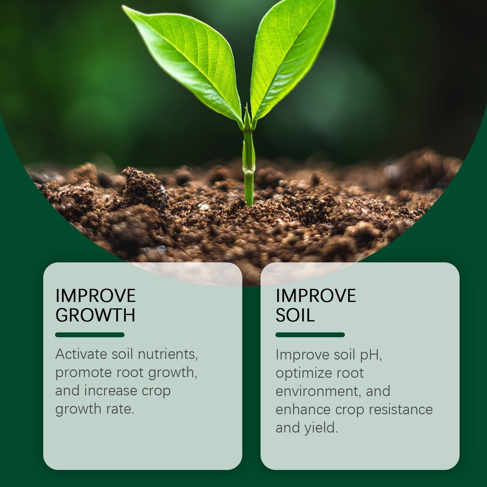 Boost Plant Nutrition Soil Activator, Improve Growth, Enhance Yield, Easy Garden Care ,100g