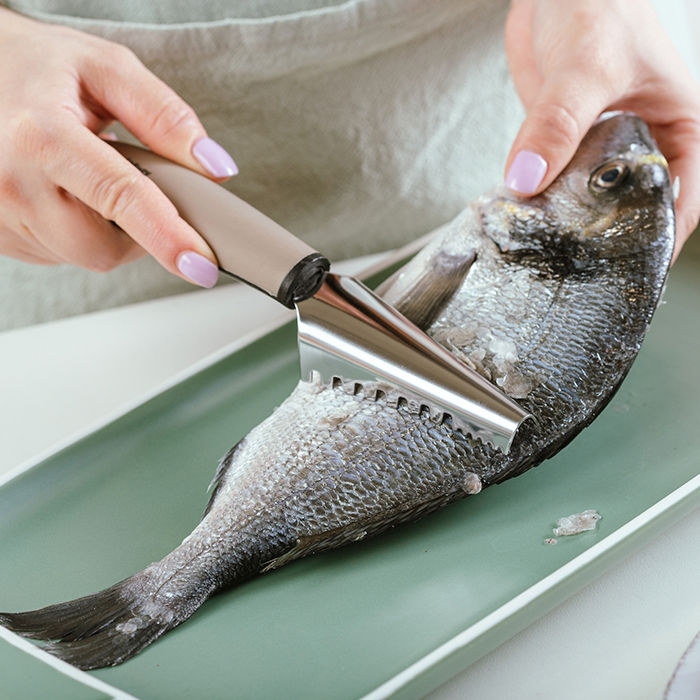 NAVA Misty Stainless Steel Fish Scaler, 22.5cm