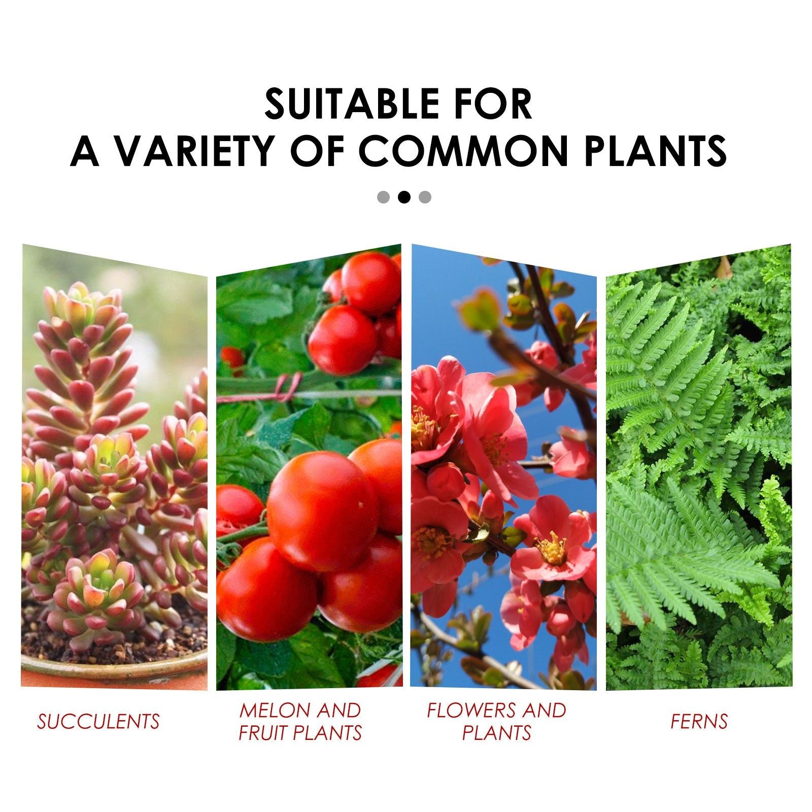 Boost Plant Growth with Sustained Release Tablet, Fast Results, Healthy Vegetables ,22pcs