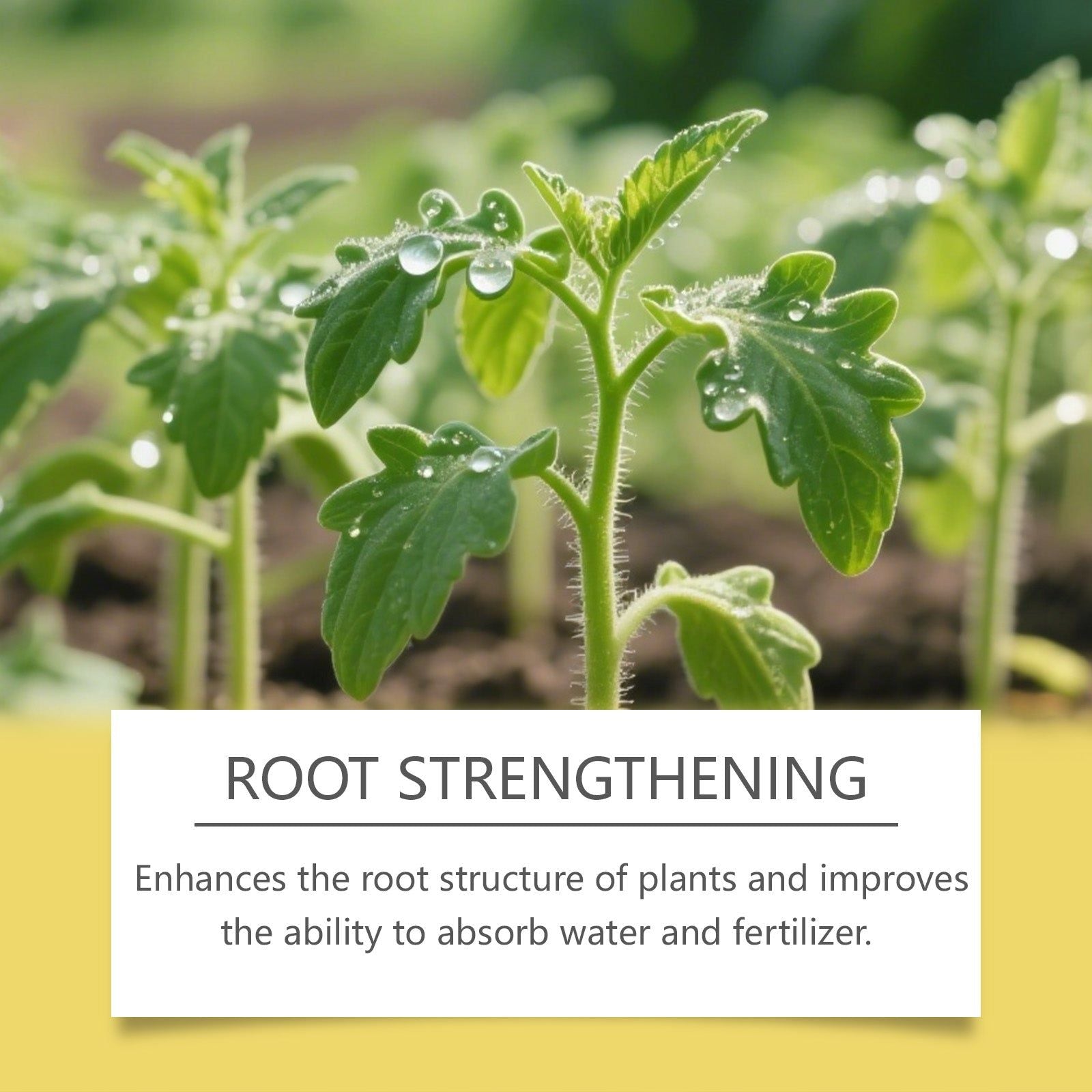 Boost Plant Growth with Universal Nutrient Solution, Root & Flower Care ,100ml