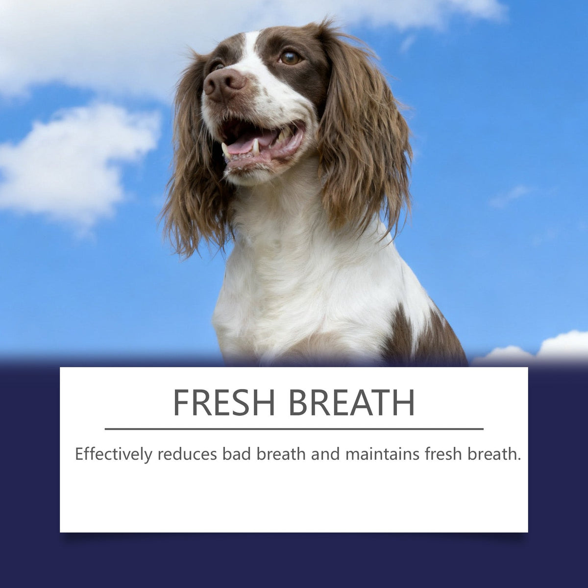 Fresh Care Pet Oral Spray, Freshens Breath, Removes Tartar, Promotes Dental Health ,100ml